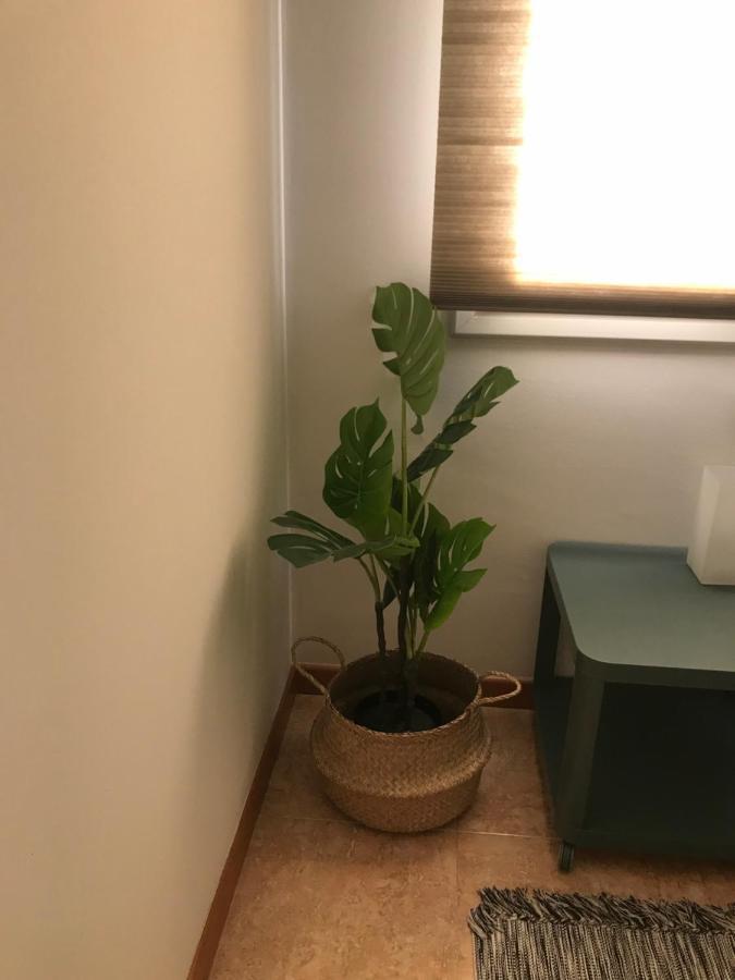 Apartamento Recien Reformado Con Vistas Al Rio Balaguer Bagian luar foto